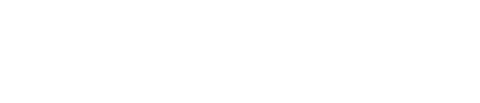 55 vip gam ACECOMBAT8